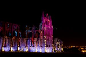 whitby abbey goth festival 4.jpg